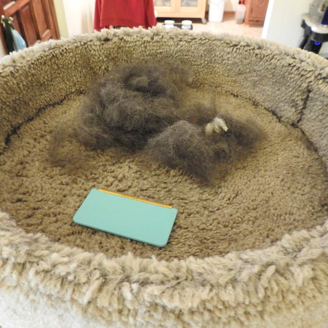 Uproot Pet Hair Survival Kits™ - Image 4